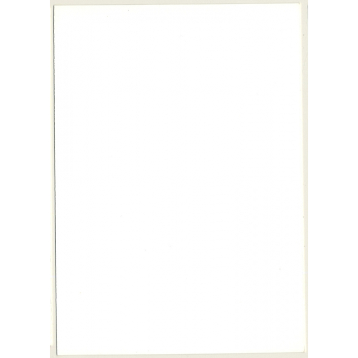 Pretty Natural Nude Curlyhead*4 / Fishnets - Suspenders (Vintage Photo GDR ~1980s)