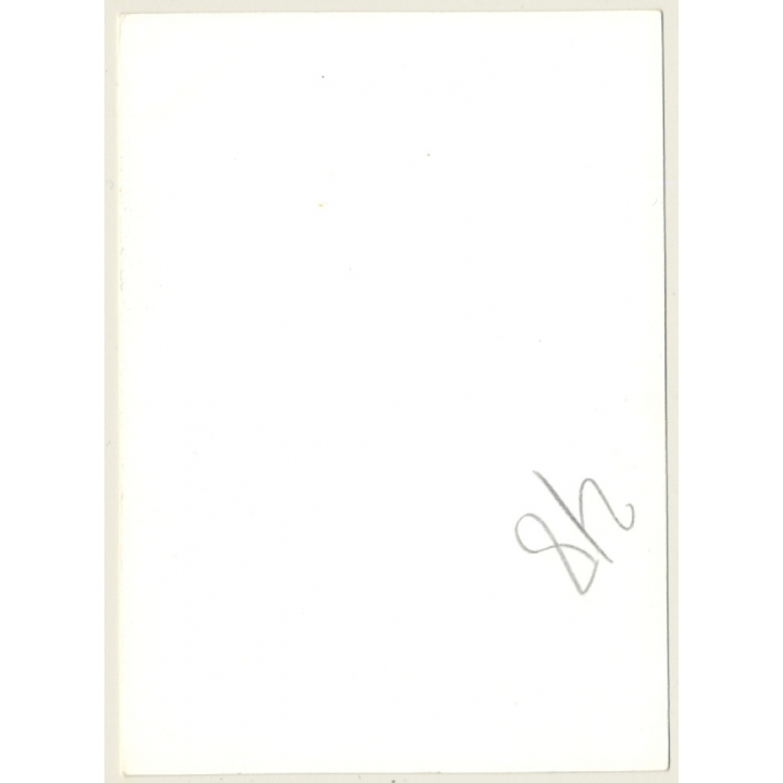 Cheeky Blonde Nude Kneeling On Faux Fur Blanket / Tull (Vintage Photo GDR ~1970s)