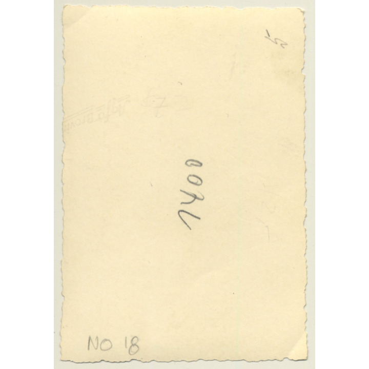 3 Topless Soldiers Having A Picnic In Forest / WW2 - Gay INT (Vintage Photo 1930s/1940s)