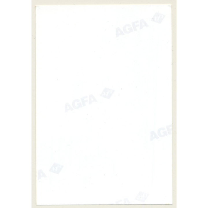 Slim Darkhaired Semi Nude Kneeling / Boobs Flash (Vintage Photo Germany ~1990s)