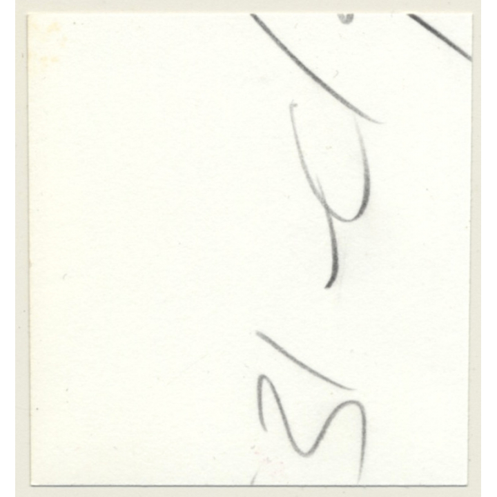 Semi Nude Blonde & Brunette Put On Lacquer Lingerie*2 / BDSM (Vintage Contact Sheet Photo 1970s)