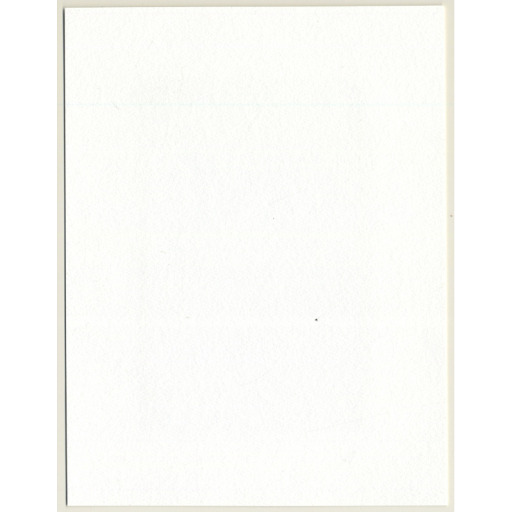 R.Folco: Nude Female In Sunlight / Flowers - Legs (Vintage Photo France 1980s)