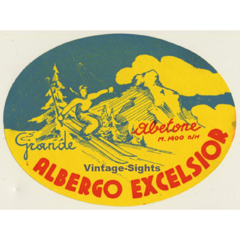 Abetone / Italy: Grande Albergo Excelsior - Ski (Vintage Luggage Label)