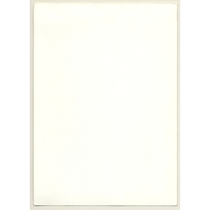 Natural Brunette Nude On Floor / Boobs (Vintage Photo GDR ~1980s)