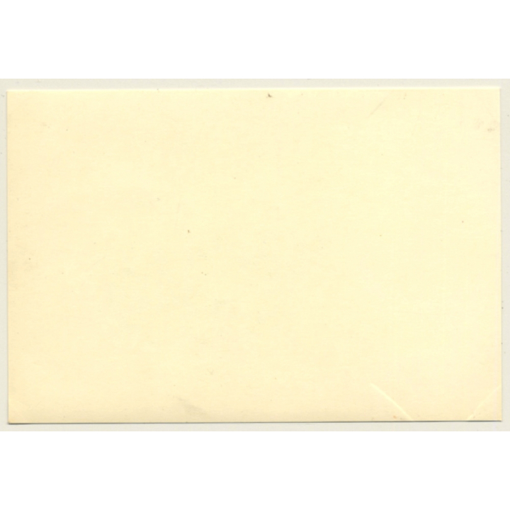 Tour De France / Circuit De Cognac 1965: Mercedes Benz 220 SE (Vintage Photo)