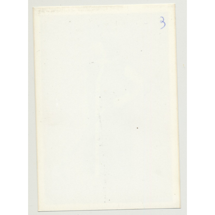 Series Of West German Fashion Photos 14: 1960s/1970s (Vintage Advertisement Photo)