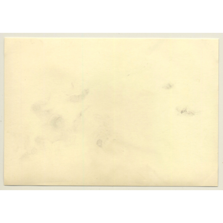 Tour De France / Circuit De Cognac 1965: Triumph TR4 IRS (Vintage Photo)