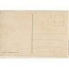 Lehnert & Landrock N°533: Mabrouka / Ethnic (Vintage PC ~1910s/1920s)