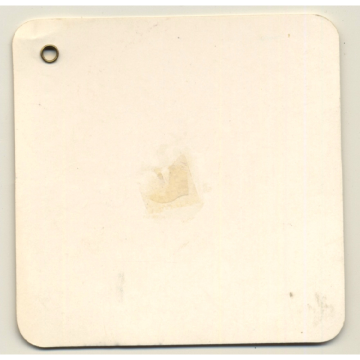 Guangzhou / China: White Swan Hotel (Vintage Luggage Tag)