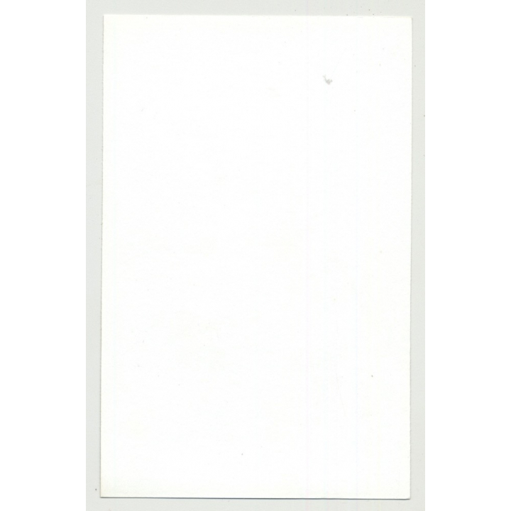 Rear View Of Tall Nude Wearing Fishnets / BIg Butt (Vintage Photo DDR B/W 1970s)