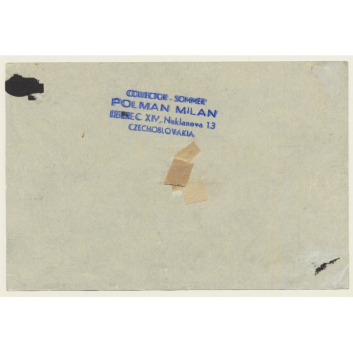 Stirling / Scotland - UK: Golden Lion Hotel (Vintage Luggage Label ~1930s)