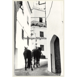 Lydia Nash: Horses In Old Town Alley Of Ibiza (Vintage Photo 1980s)