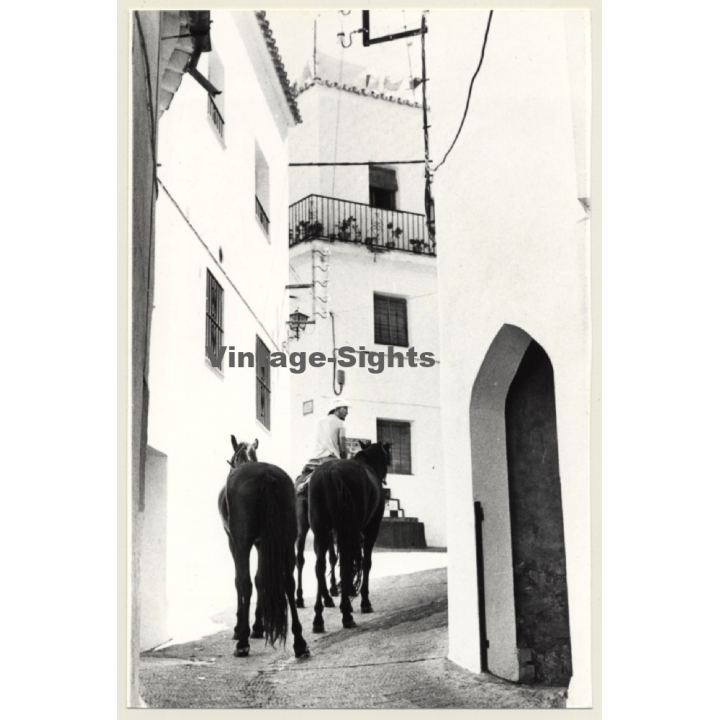 Lydia Nash: Horses In Old Town Alley Of Ibiza (Vintage Photo 1980s)