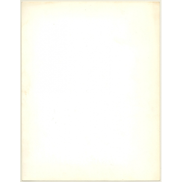 Rear View: Longhaired Brunette Nude / Curls - Hairstyle - Back (Vintage Fashion Photo: Wolfgang Klein 1980s DIN A4+)