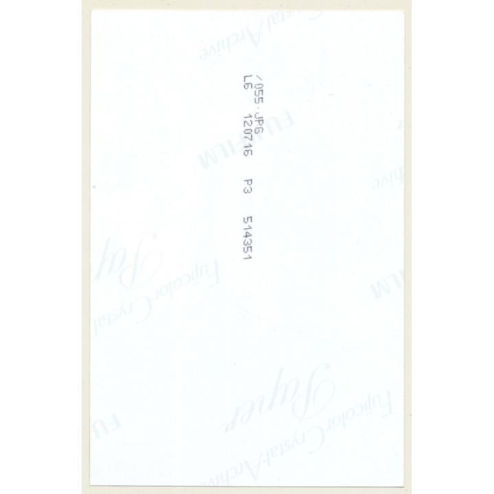 Slim Natural Semi Nude Undresses In Forest*7 / Panties (Digital Photo Print ~2000s)