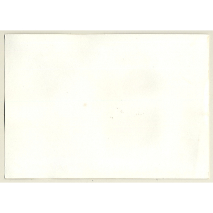 Natural Chubby Nude Lingers On Couch / Boobs (Vintage Photo GDR ~1980s)