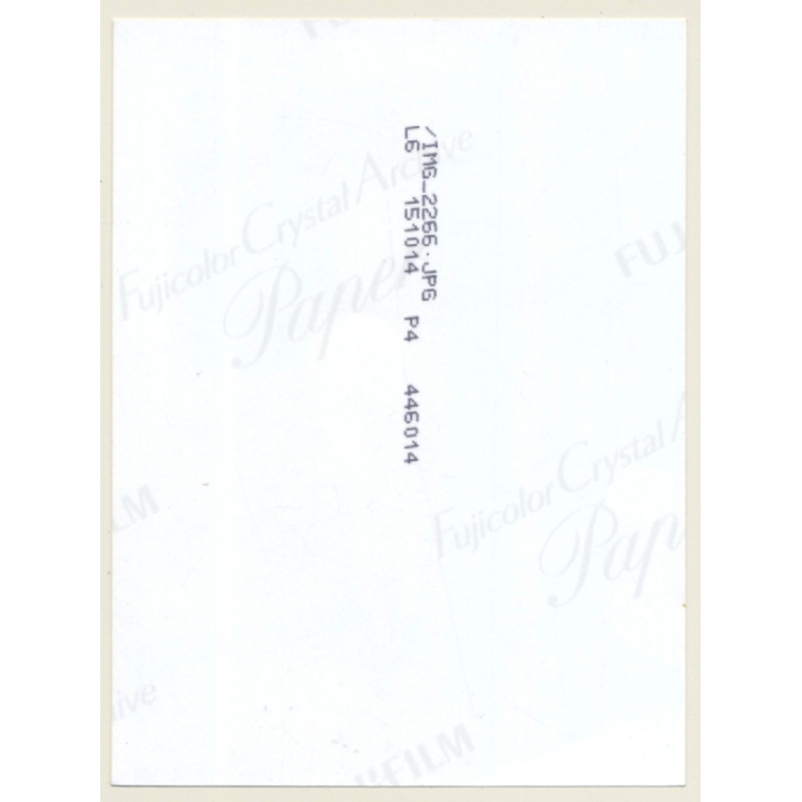 Slim Brunette Semi Nude Undressing In Classroom*17 / Butt (Digital Photo Print ~2000s)