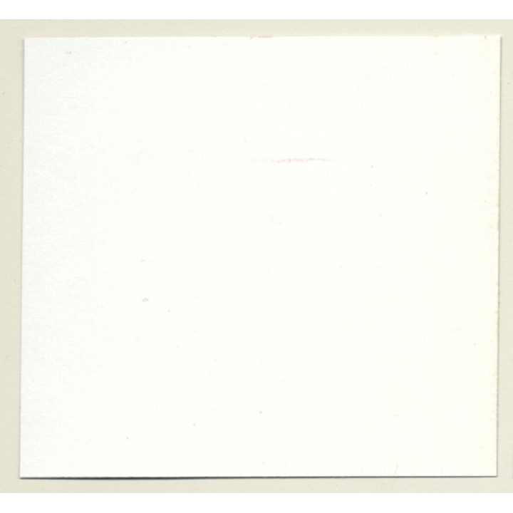 3 Stunning Semi Nudes In Catfight*1 / Whip - BDSM (Vintage Contact Sheet Photo 1970s)