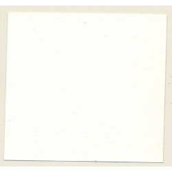3 Stunning Semi Nudes In Catfight*2 / Whip - BDSM (Vintage Contact Sheet Photo 1970s)