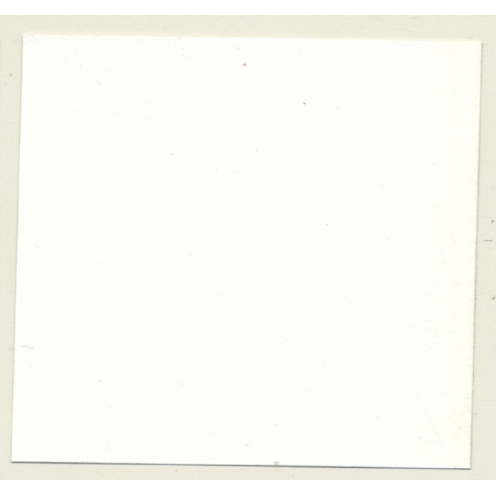 3 Stunning Semi Nudes In Catfight*2 / Whip - BDSM (Vintage Contact Sheet Photo 1970s)