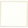 3 Stunning Semi Nudes In Catfight*2 / Whip - BDSM (Vintage Contact Sheet Photo 1970s)