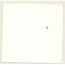 3 Stunning Semi Nudes In Catfight*3 / Legs - BDSM (Vintage Contact Sheet Photo 1970s)