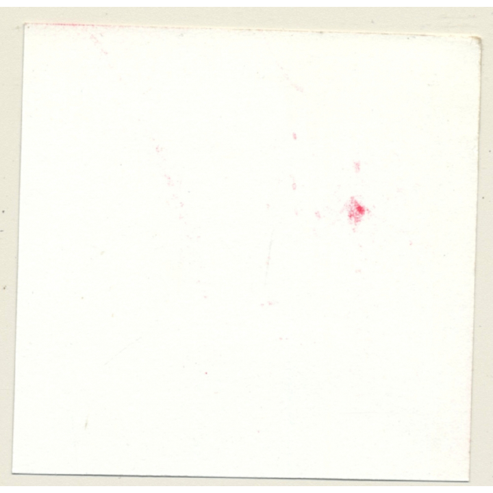 3 Stunning Semi Nudes In Catfight*3 / Legs - BDSM (Vintage Contact Sheet Photo 1970s)