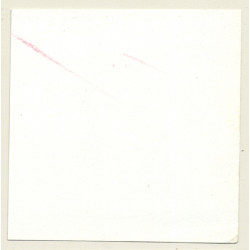 3 Stunning Semi Nudes In Catfight*4 / Butt - BDSM (Vintage Contact Sheet Photo 1970s)