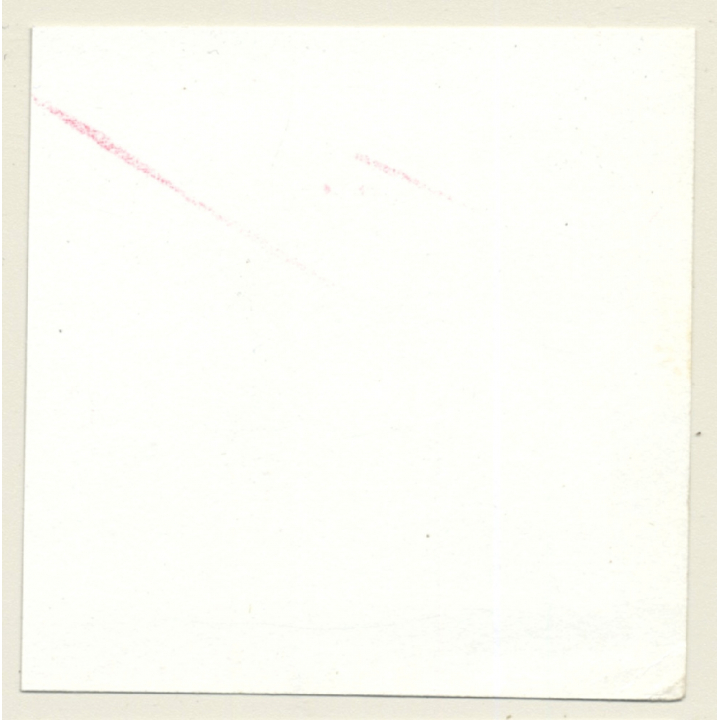 3 Stunning Semi Nudes In Catfight*4 / Butt - BDSM (Vintage Contact Sheet Photo 1970s)