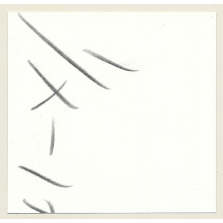 3 Stunning Semi Nudes In Catfight*6 / Feet - BDSM (Vintage Contact Sheet Photo 1970s)