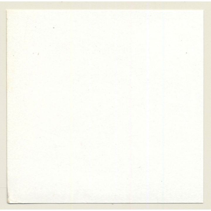 3 Stunning Semi Nudes In Catfight*8 / Boobs - BDSM (Vintage Contact Sheet Photo 1970s)