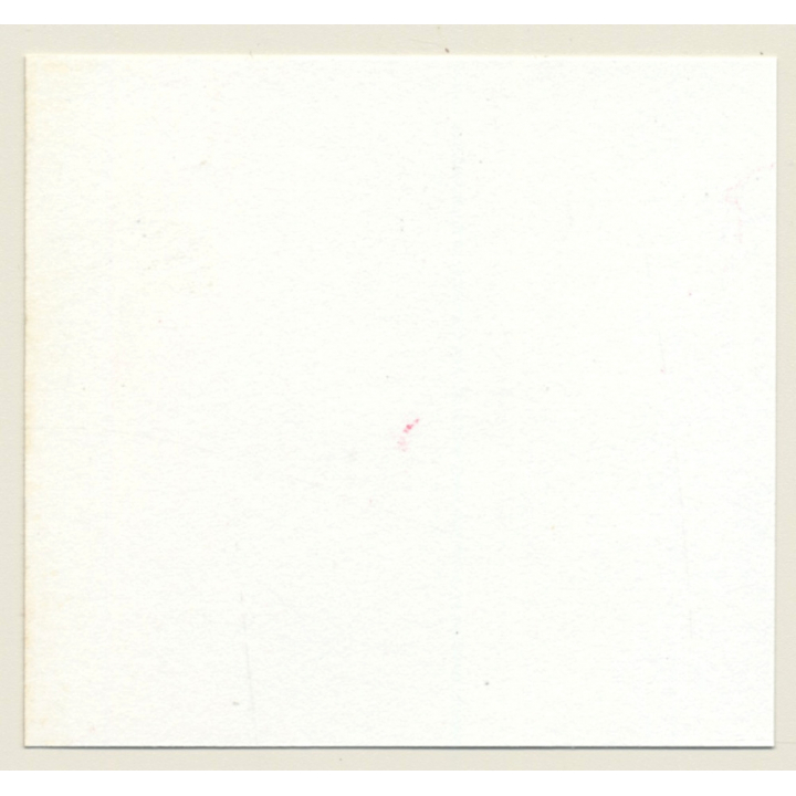 3 Stunning Semi Nudes In Catfight*10 / Suspenders - BDSM (Vintage Contact Sheet Photo 1970s)