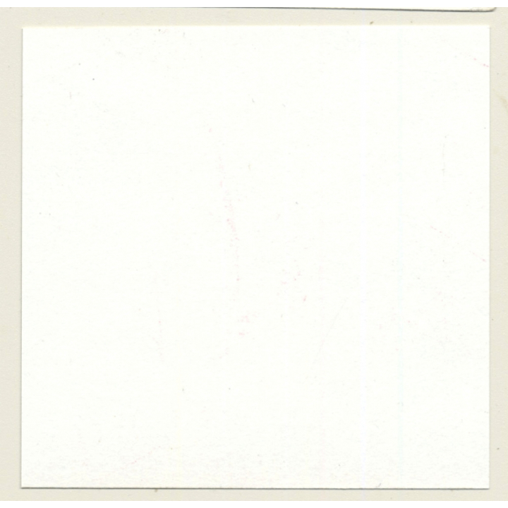 3 Stunning Semi Nudes In Catfight*11 / Legs - BDSM (Vintage Contact Sheet Photo 1970s)