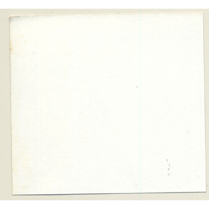 3 Stunning Semi Nudes In Catfight*12 / Whip - BDSM (Vintage Contact Sheet Photo 1970s)