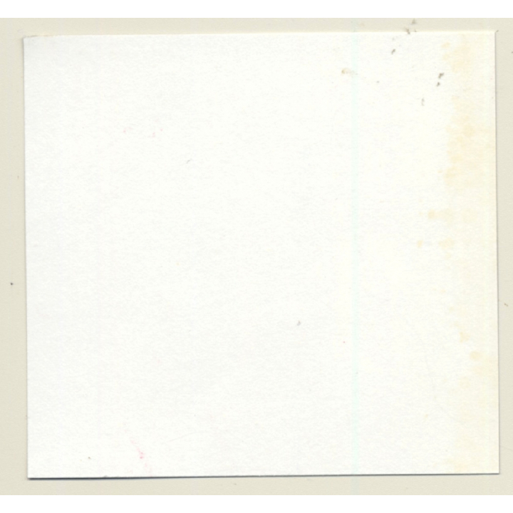 3 Stunning Semi Nudes In Catfight*13 / Lingerie - BDSM (Vintage Contact Sheet Photo 1970s)