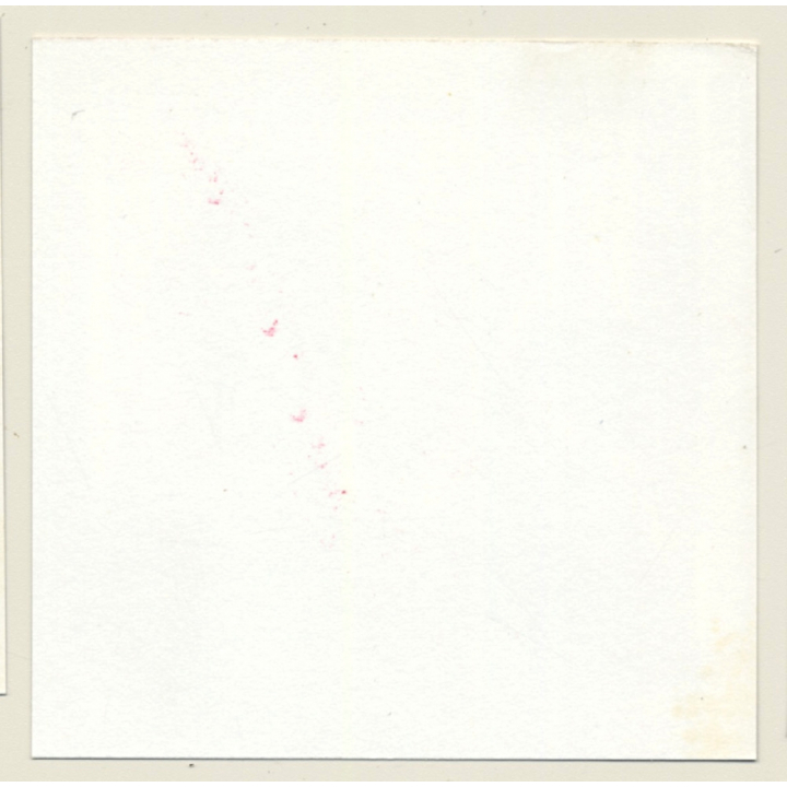 3 Stunning Semi Nudes In Catfight*14 / Legs - BDSM (Vintage Contact Sheet Photo 1970s)