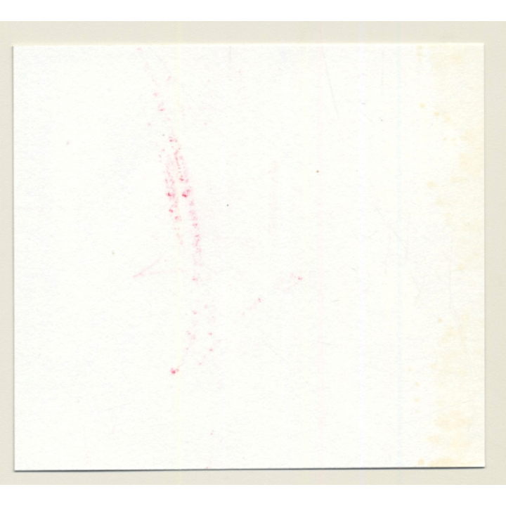 3 Stunning Semi Nudes In Catfight*16 / Boobs - BDSM (Vintage Contact Sheet Photo 1970s)