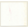 3 Stunning Semi Nudes In Catfight*16 / Boobs - BDSM (Vintage Contact Sheet Photo 1970s)