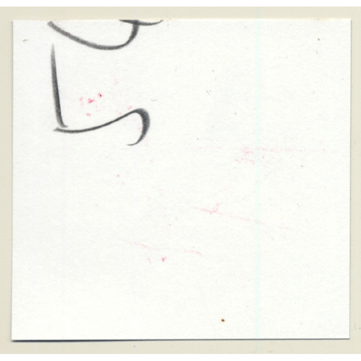 3 Stunning Semi Nudes In Catfight*17 / Spanking - BDSM (Vintage Contact Sheet Photo 1970s)