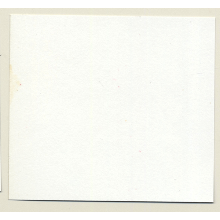 3 Stunning Semi Nudes In Catfight*22 / Butt - BDSM (Vintage Contact Sheet Photo 1970s)