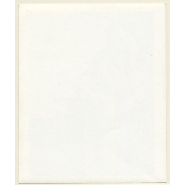 Irving Klaw?: Busty Brunette About To Flash Her Boobs / Pin-Up (Vintage Photo USA ~1960s)