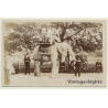 London Zoo: Elephant Ride (Vintage RPPC ~1900s)