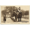 No. 23 Elephant Riding - London Zoo / W.Bond  (Vintage PC 1931)