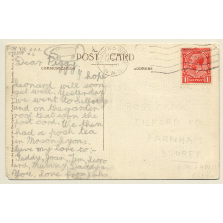 No. 23 Elephant Riding - London Zoo / W.Bond  (Vintage PC 1931)