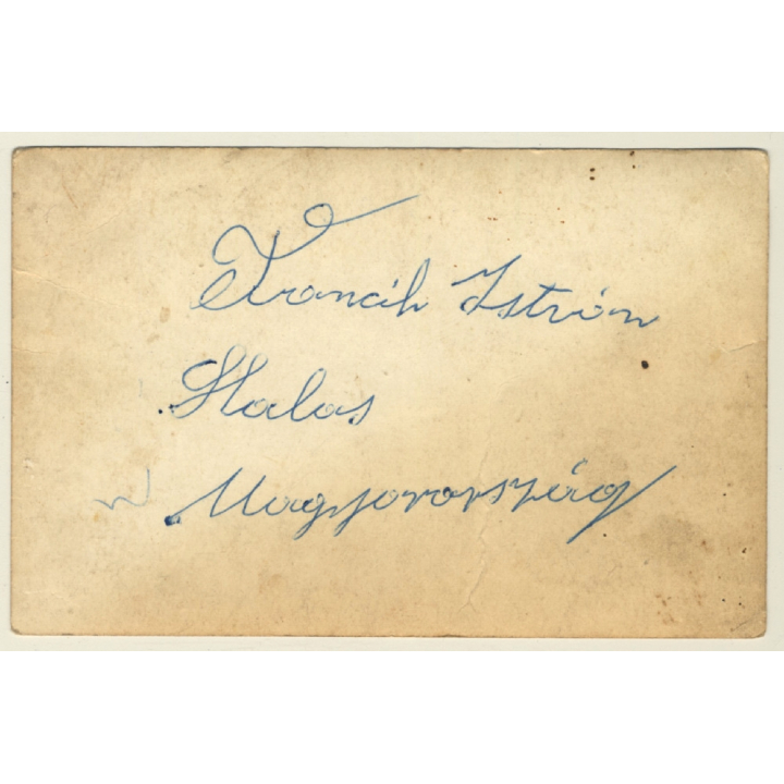 Toncic - Istria / Croatia: Butcher At Work / Pig - Profession (Vintage Photo ~1920s/1930s)