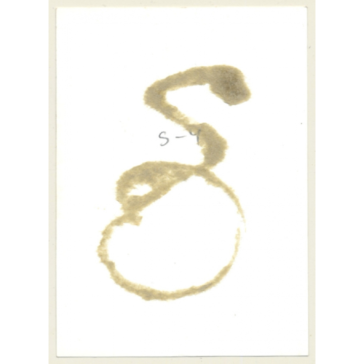 Chubby Nude Female Tied To Pole*1 / Bondage - BDSM (2nd Gen.Photo ~1960s)