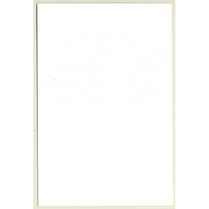 Natural Nude Curlyhead Closes Suspenders / Fishnets (Vintage Photo GDR ~1980s)