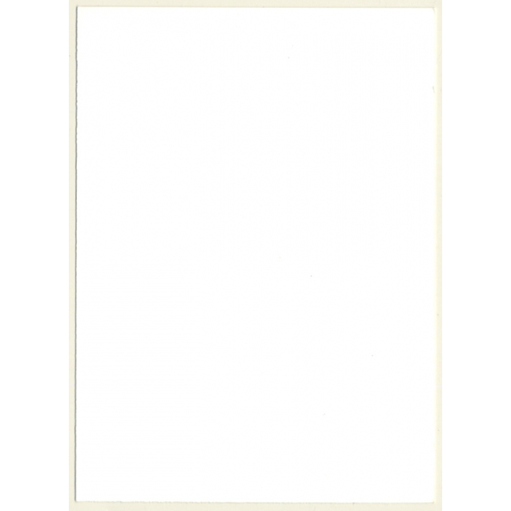 Natural Nude Curlyhead Closes Suspenders*2 / Fishnets (Vintage Photo GDR ~1980s)