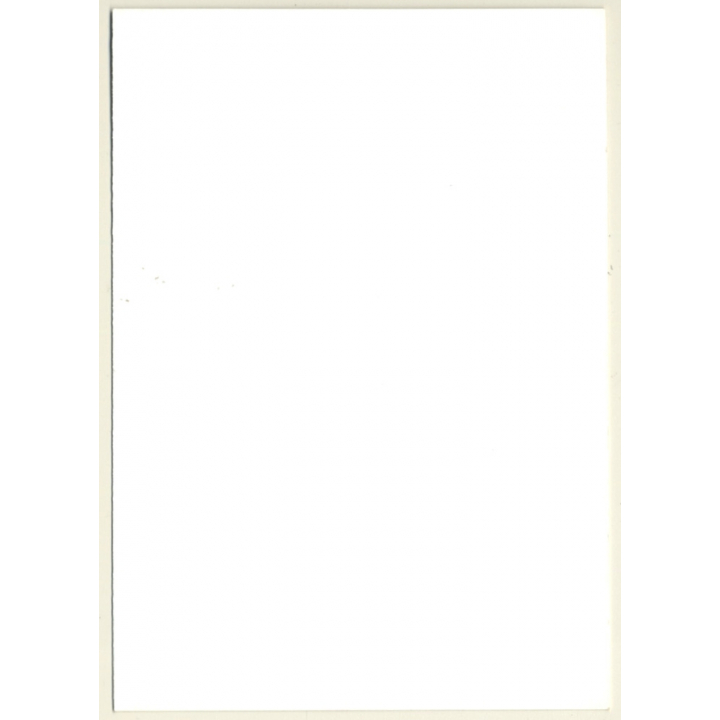 Natural Nude Curlyhead Standing / Suspenders - Fishnets (Vintage Photo GDR ~1980s)