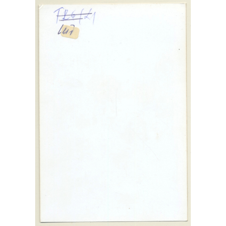 Rear View: Suntanned Nude In Suspenders / Butt (Vintage Photo Germany ~1990s)